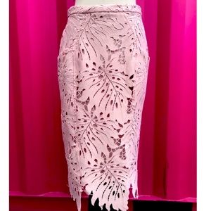 Eva Franco Anthropologie pink lace skirt